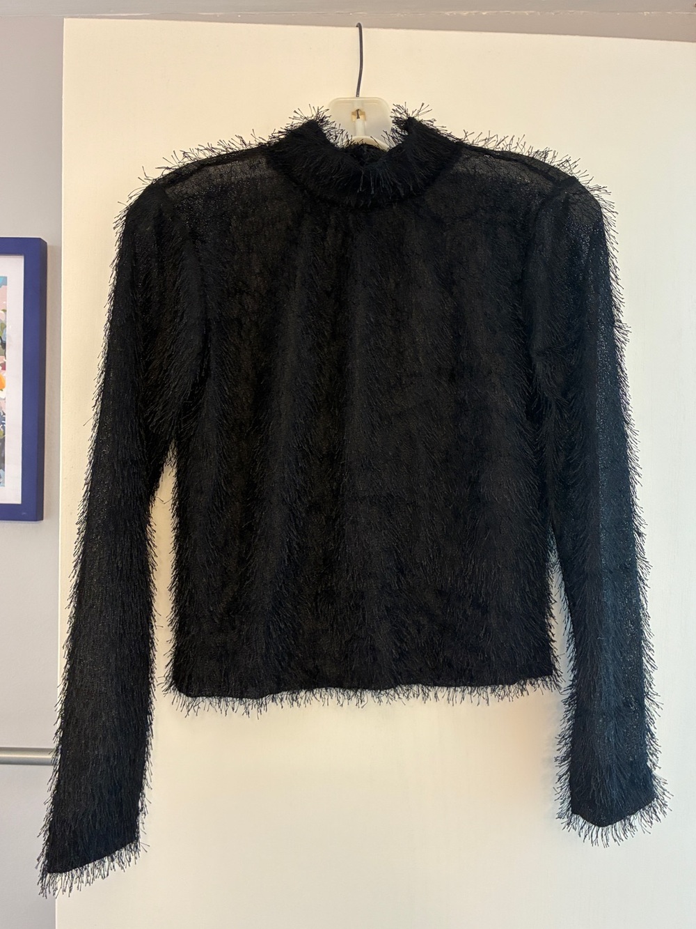 Zara Black Fringe Sheer Long-Sleeve Mock Neck Top